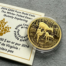 Load image into Gallery viewer, 2014 Canada $200 1 oz Gold Coin - White Tailed Deer: Quietly Exploring
