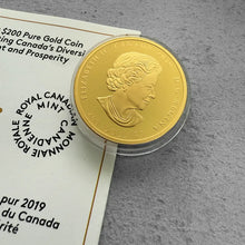 Load image into Gallery viewer, 2019 Canada $200 Celebrating Diversity Pure Gold Coin with AAA Ruby
