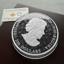 Load image into Gallery viewer, 2020 Reimagined 1905 Arms of Dominion of Canada $250 Kilo Silver Coin
