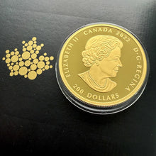 Load image into Gallery viewer, 2022 Canada $200 Celebrating Diversity Pure Gold Coin with AAA Sapphire
