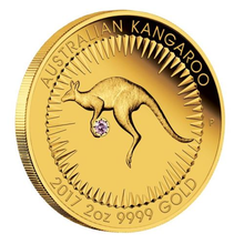 Load image into Gallery viewer, Australia 2017 500$ Kangaroo ARGYLE PINK DIAMOND 2 oz Gold Coin - 300 Mintage!
