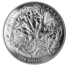 Load image into Gallery viewer, 2020 The Canadian Maple Masters Collection5 coin set Canada $250 Kilo Silver Coin Mintage 250 sets
