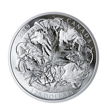 Load image into Gallery viewer, 2020 The Canadian Maple Masters Collection5 coin set Canada $250 Kilo Silver Coin Mintage 250 sets
