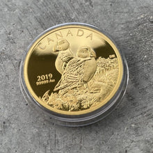 Load image into Gallery viewer, 2018 Canada 1 oz .9999 Fine Gold Coin - Atlantic Puffins
