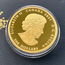 Load image into Gallery viewer, 2021 Ramming Big Horn Sheep $200 Gold Coin 1oz
