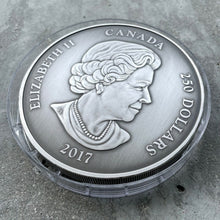 Load image into Gallery viewer, 2017 Canada Kilo .9999 Fine Silver Coin $250 - Canadian Coin Collection
