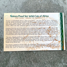 Load image into Gallery viewer, 2003 South Africa .9999 Gold Coin Prestige Proof Set 1.85 oz - Natura Lion
