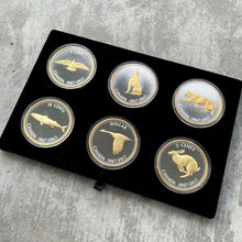 Load image into Gallery viewer, 2017 Canada .9999 Silver 5oz x 6 Coin Big Coin Set - Super Complete Set!
