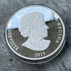 2015 Canada Kilo .9999 Fine Silver Coin $250 - Eyes of Cougar - Stunning Enamel