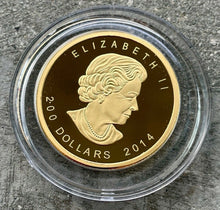 Load image into Gallery viewer, 2014 Canada $200 5 Nine Pure .99999 Gold Coin - Howling Wolf
