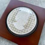 Load image into Gallery viewer, 2014 10 oz .9999 Fine Silver Coin $100 - Declaration of WWI 100 Year Anniversary
