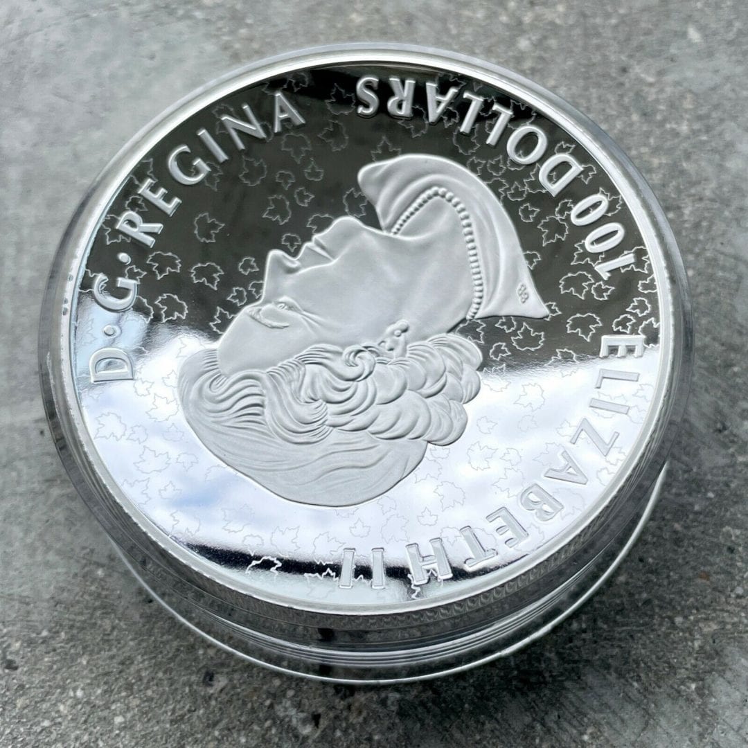 2019 Canada 10 oz .9999 Fine Silver Coin $100 Double Concave Piedfort Brown Bear