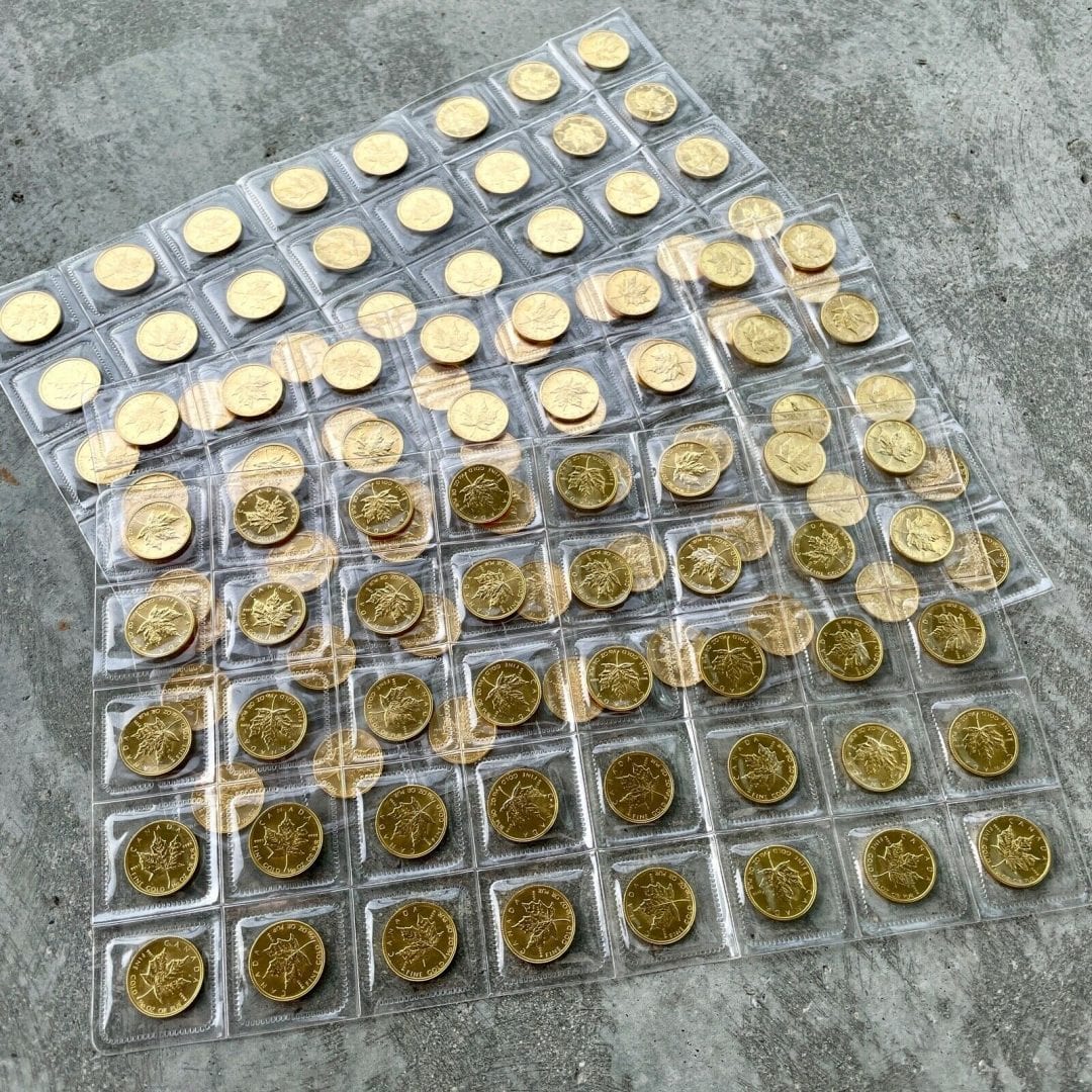 10 x 1/10th Canada Gold Maple .9999 - Sealed - 1 x 10 th oz