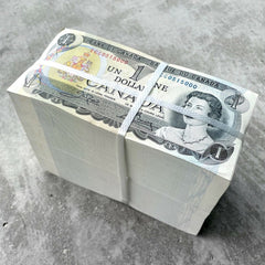 1973 Brick of $ 1 Canada Banknotes 1000 Consecutive 10x Bundle -Perfectly Sealed