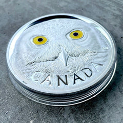 2014 Canada Kilo .9999 Fine Silver Coin $250 - Eyes of Owl with Stunning Enamel