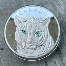 Load image into Gallery viewer, 2015 Canada Kilo .9999 Fine Silver Coin $250 - Eyes of Cougar - Stunning Enamel
