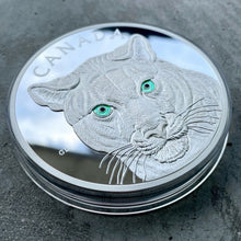 Load image into Gallery viewer, 2015 Canada Kilo .9999 Fine Silver Coin $250 - Eyes of Cougar - Stunning Enamel
