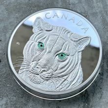 Load image into Gallery viewer, 2015 Canada Kilo .9999 Fine Silver Coin $250 - Eyes of Cougar - Stunning Enamel
