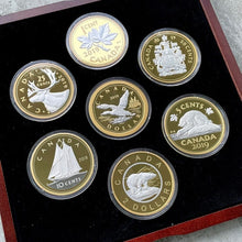 Load image into Gallery viewer, 2019 Canada .9999 Silver 5oz x 7 Coin Big Coin Set - Complete Set! Serial 888
