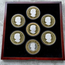 Load image into Gallery viewer, 2019 Canada .9999 Silver 5oz x 7 Coin Big Coin Set - Complete Set! Serial 888
