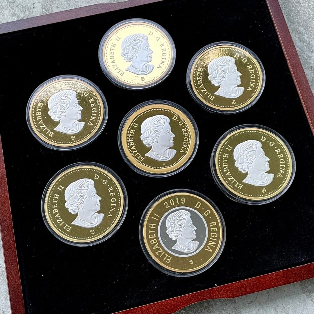 2019 Canada .9999 Silver 5oz x 7 Coin Big Coin Set - Complete Set! Serial 888