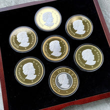 Load image into Gallery viewer, 2019 Canada .9999 Silver 5oz x 7 Coin Big Coin Set - Complete Set! Serial 888
