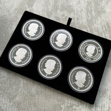 Load image into Gallery viewer, 2016 Canada .9999 Silver 5oz x 6 Coin Big Coin Set
