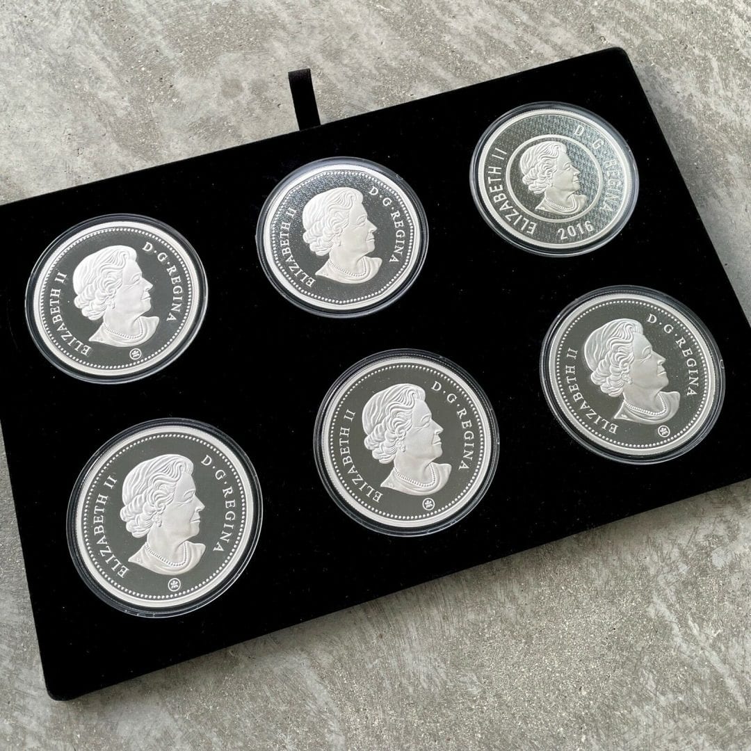 2016 Canada .9999 Silver 5oz x 6 Coin Big Coin Set