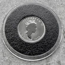 Load image into Gallery viewer, 1995 Canada $1 Platinum Maple Fine 1/20 th Mapleleaf - 460 Made - Lowest Mintage
