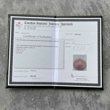 Load image into Gallery viewer, 10 KT Yellow Gold Pendant Globe 13 Carat diamonds Toronto Raptors 55k Appraisal
