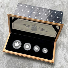 Load image into Gallery viewer, 1989 Canada Platinum Proof Maple Leaf Set .9999 Platinum Coin set - 1.85oz
