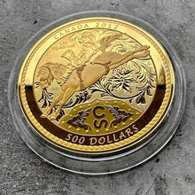 Load image into Gallery viewer, 2012 Calgary Stampede $500 Canada 5oz Gold Coin Queen Elizabeth II Mintage 200
