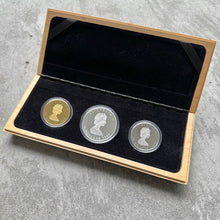 Load image into Gallery viewer, 1989 Canada Proof Maple Leaf Set .9999 Coin set - 1oz Gold + 1oz Platinum Silver
