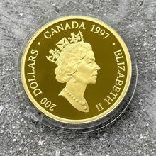 Load image into Gallery viewer, 1997 Raven Haida Canada Gold $200 Coin 1/2oz - Haida
