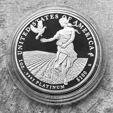 Load image into Gallery viewer, 2011 W Eagle United States 1 oz .9995 Fine $100 1oz Platinum Proof
