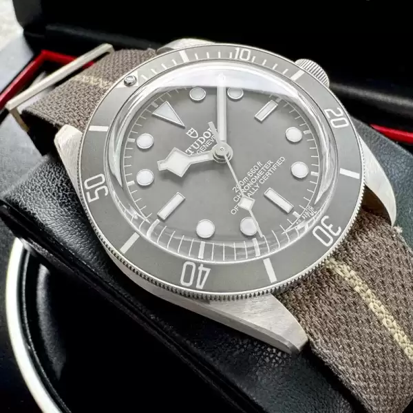 Tudor Heritage Black Bay Fifty Eight Sterling Silver 79010SG Box and Papers31 result