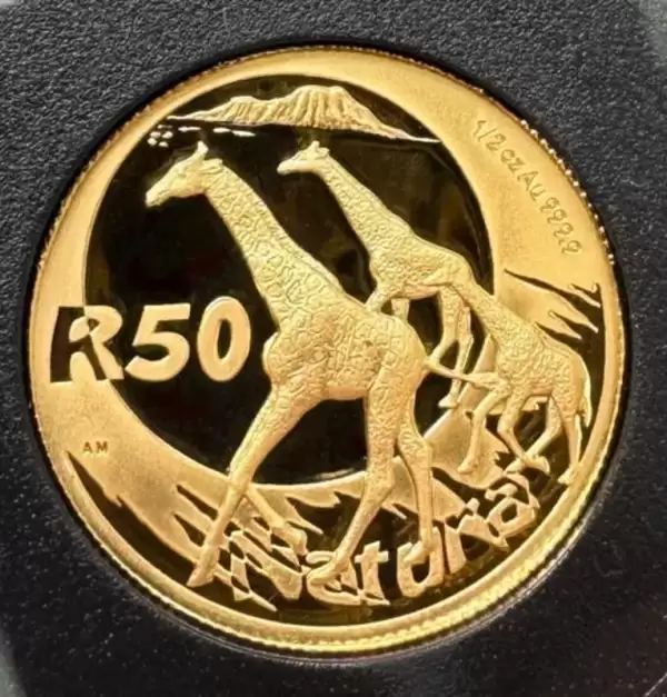 2006 South Africa Natura Proof Gold 4 Coin Set 1.85 oz Giraffe24 result