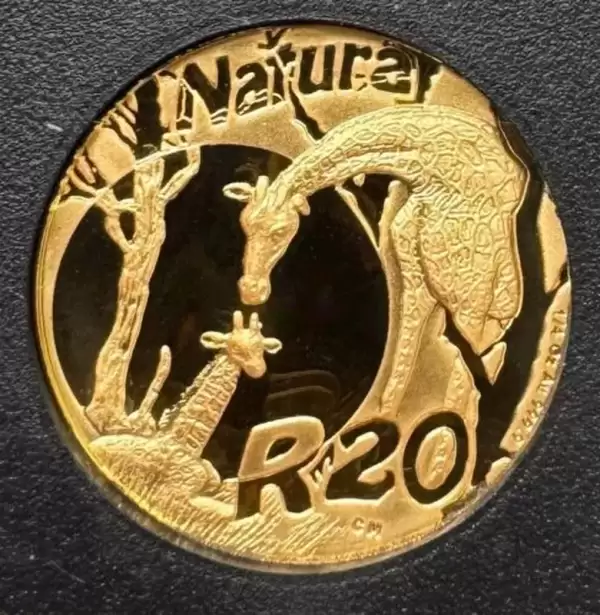 2006 South Africa Natura Proof Gold 4 Coin Set 1.85 oz Giraffe25 result