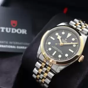 Tudor Black Bay 36 Two Tone 79643–Box Papers10 result