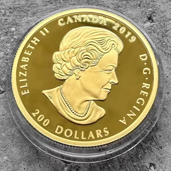 2019 celebrating canadas diversity light and prosperity 200 canada gold coin set with ruby3 result